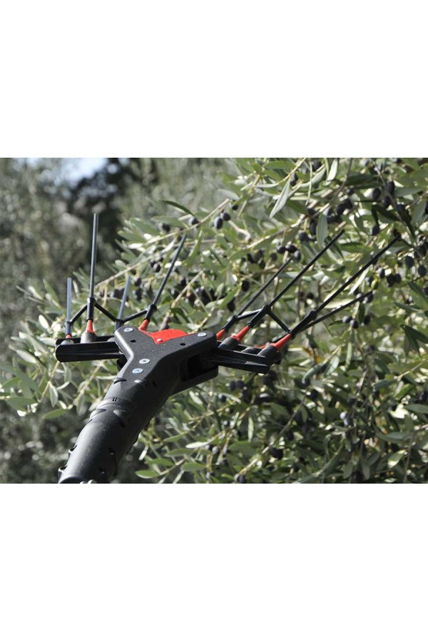 VERTIGO CARBON L 12V